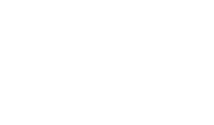 abv-consulting